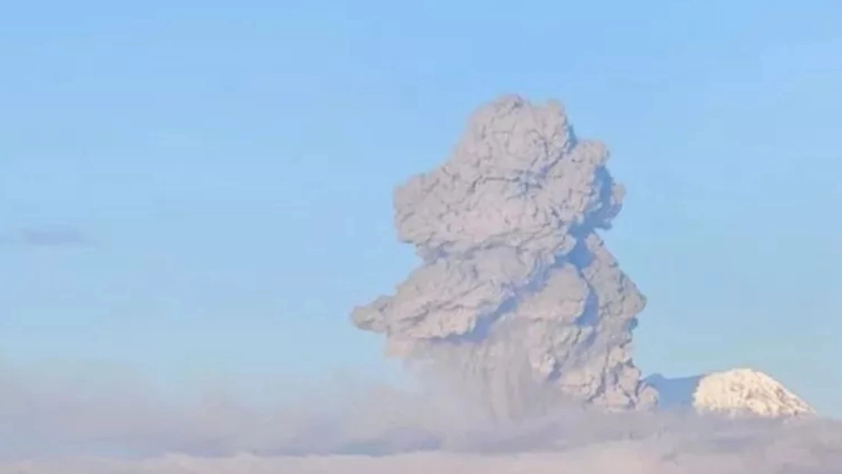 43 украинских БПЛА нацелились на 13 воронежских муниципалитета