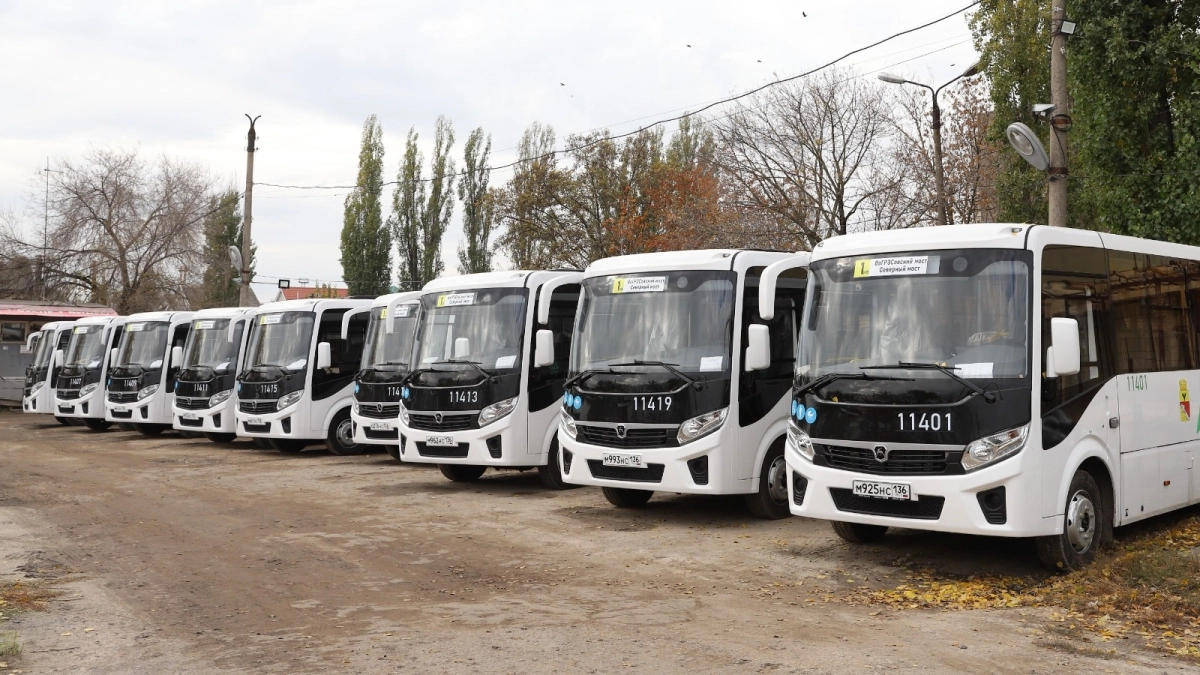 Воронежская прокуратура выявила срыв более 200 автобусных рейсов