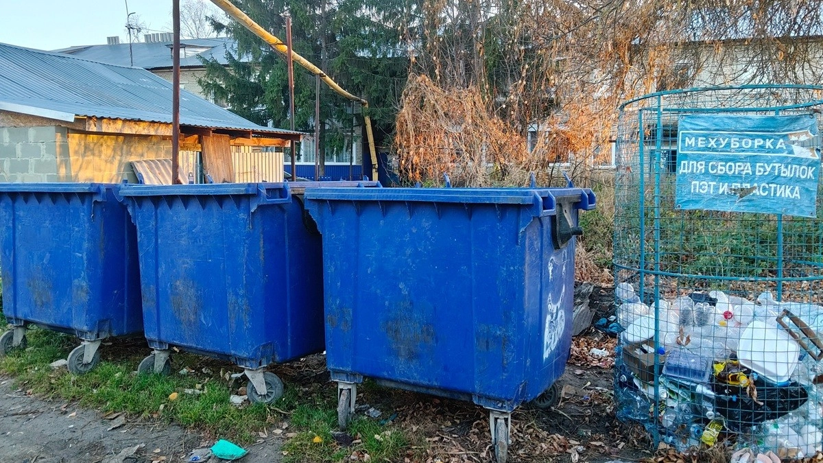 За нерегулярный вывоз мусора оштрафовали воронежского перевозчика ТКО
