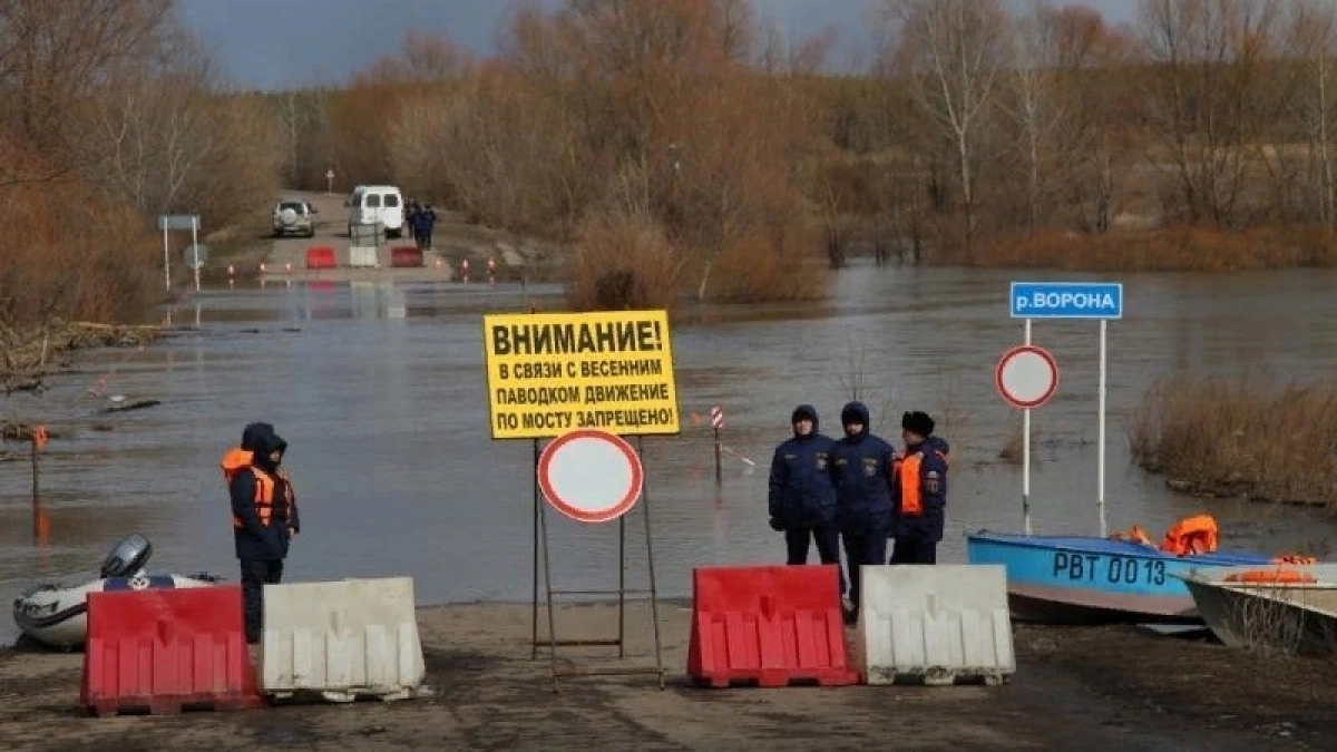 В Воронежской области осталось два подтопленных моста