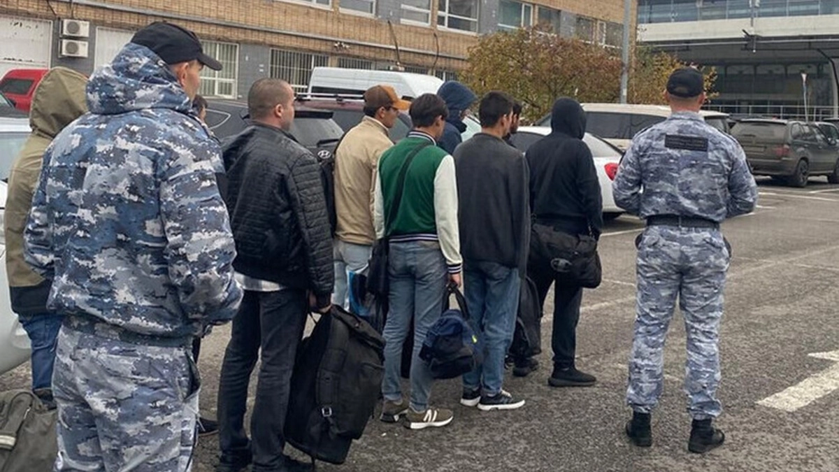 Более 200 мигрантов оформили липовые документы у преступной группы из Воронежа