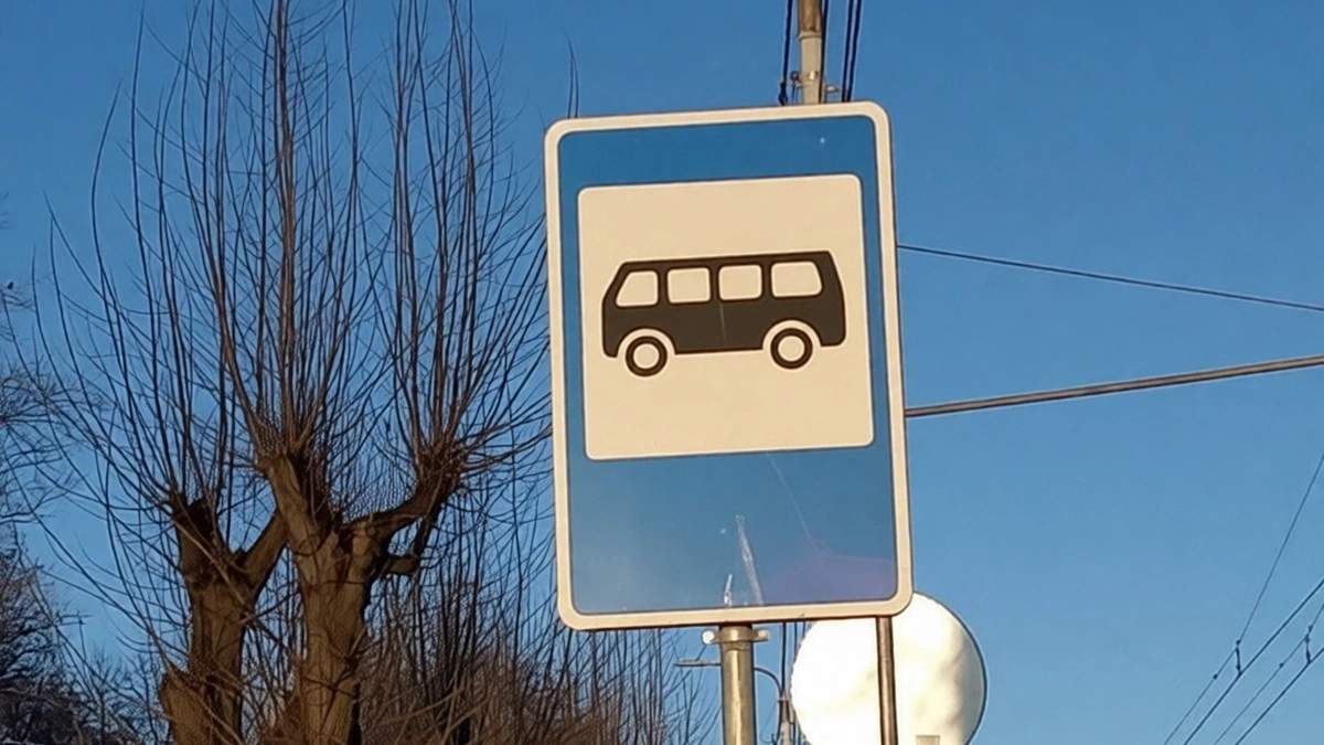 В Воронеже временно изменится схема движения двух автобусов