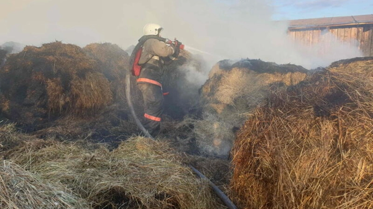 В Воронежской области пожар уничтожил 9 тонн сена и 40 тюков соломы