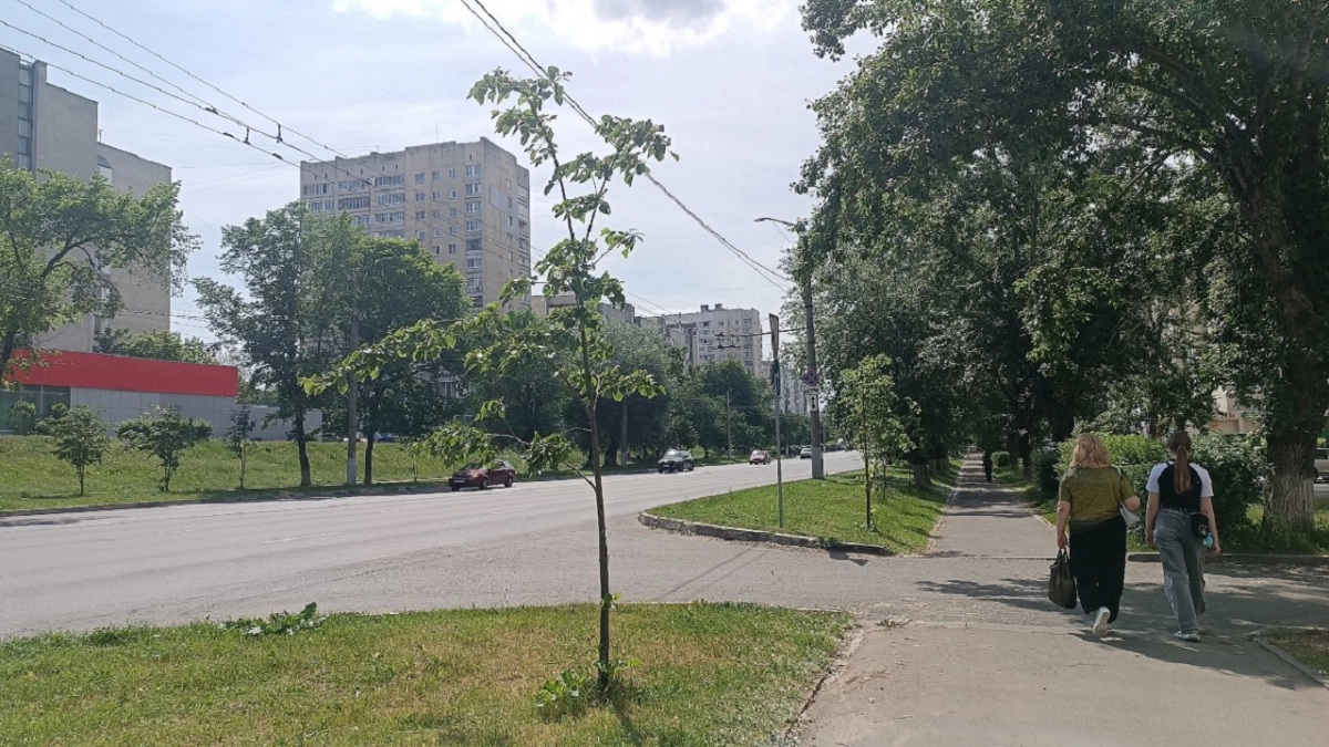 Как у Христа за пазухой: эти 3 цифры в дате рождения даруют особую силу получать желаемое
