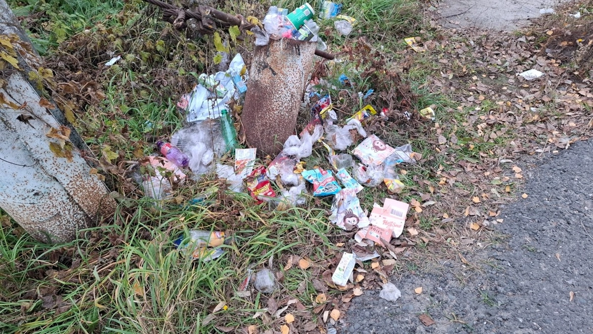 В Воронеже могут назначить другого оператора по вывозу мусора
