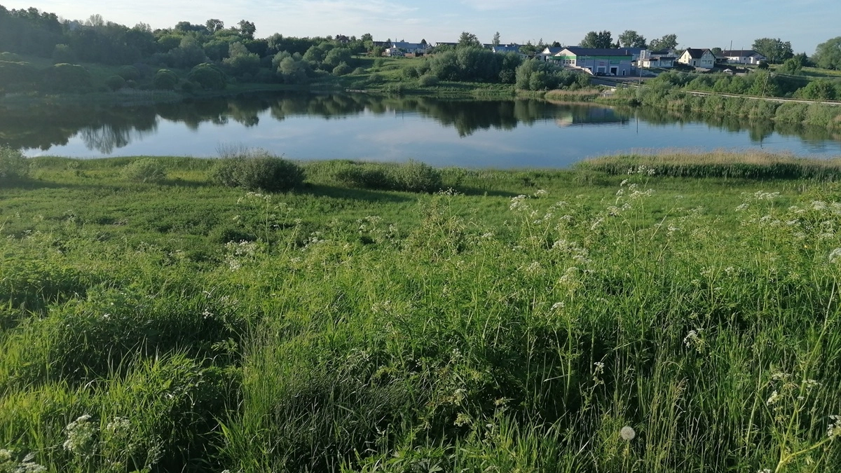Под Воронежем бизнесмен незаконно закрыл подход жителей к общему пруду