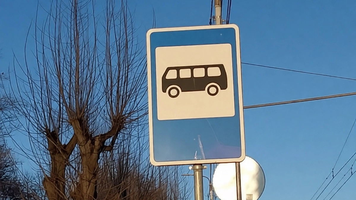 Новый автобусный маршрут начал курсировать в Рамони