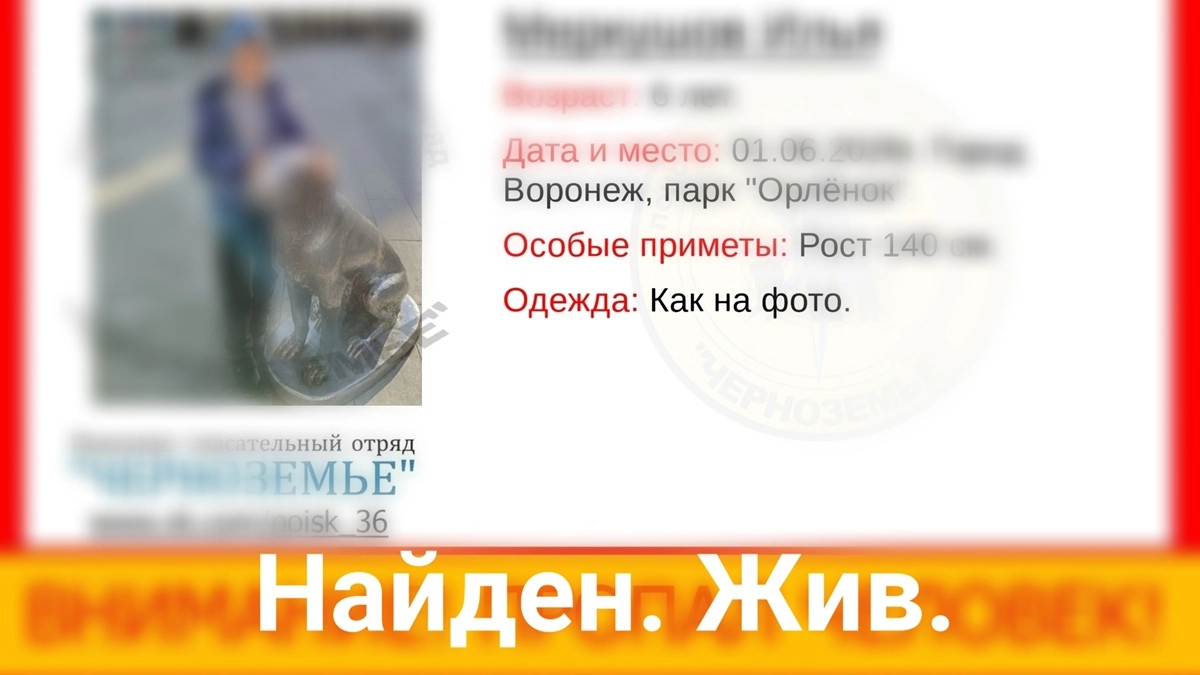 Волонтеры рассказали о поисках 6-летнего воронежца в «Орленке»