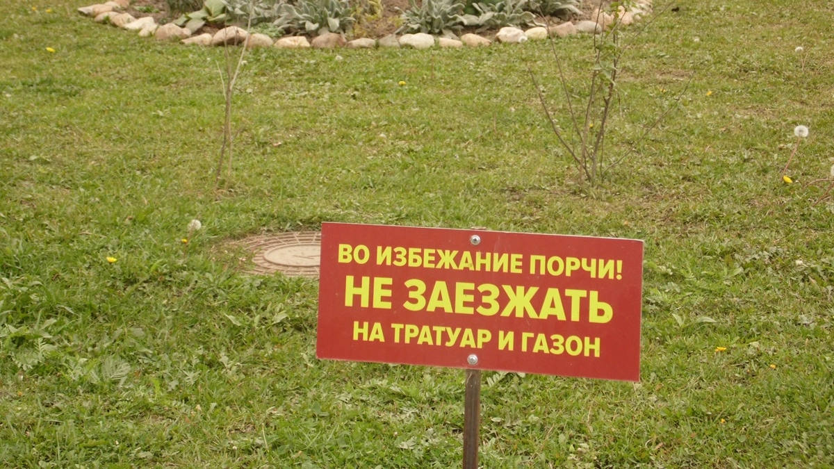 В Воронеже с начала года назначили более 2 тысяч штрафов за парковку на газонах