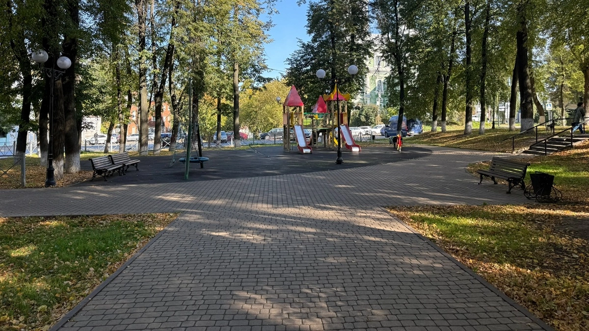В Воронеже двухлетний ребенок за рулем въехал в детскую площадку