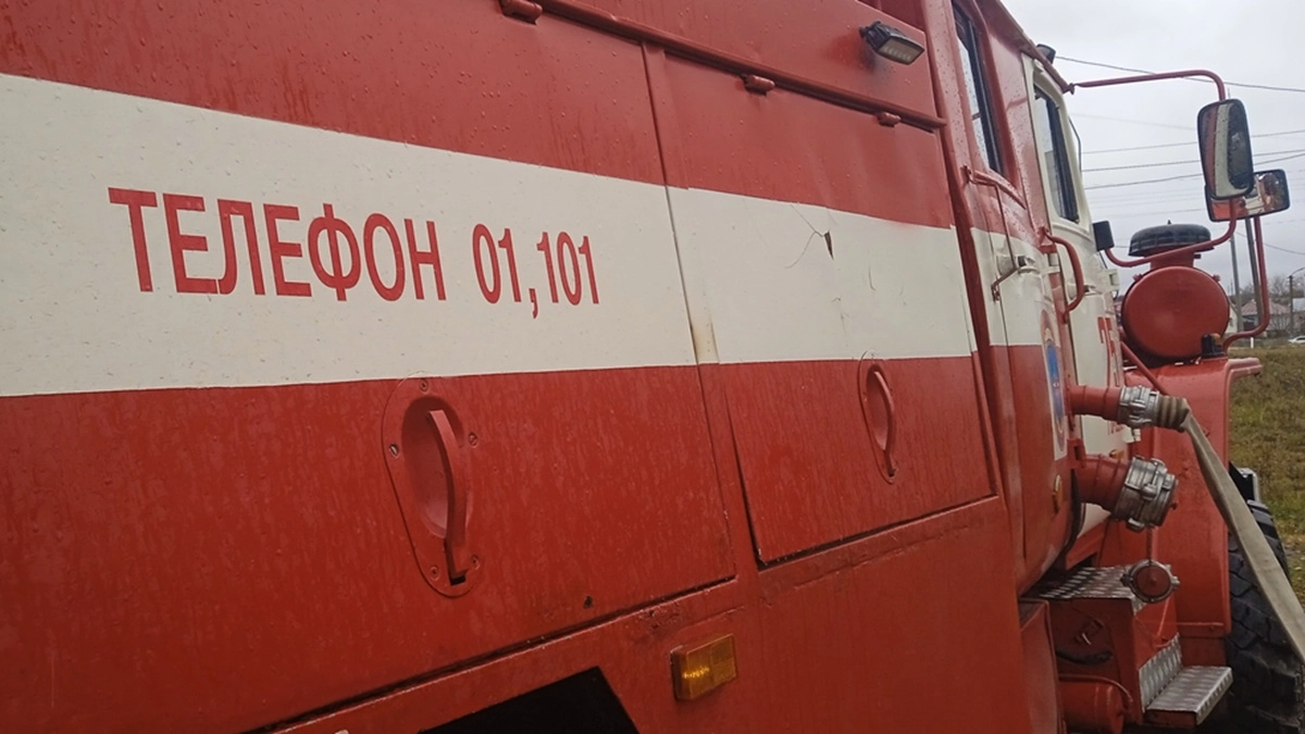 19 муниципалитетов воронежского региона попали в зону высокий пожарной опасности