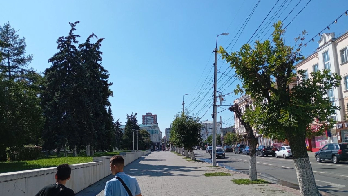 Жара довела воронежца до крайности: мужчина разгуливал голым по улицам