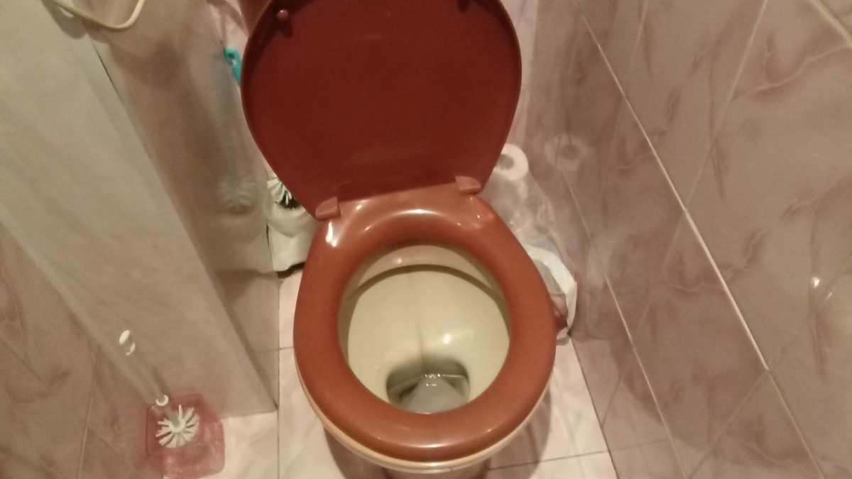 Уходя из дома, всегда бросаю чайный пакетик в унитаз и бед не знаю: лайфхак от горничной с 30-летним стажем