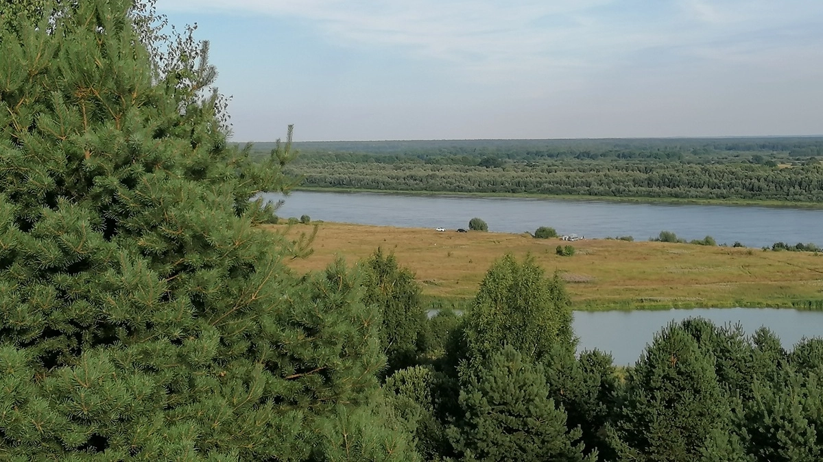 Четыре пляжа Воронежа попали под запрет купания из-за грязной воды
