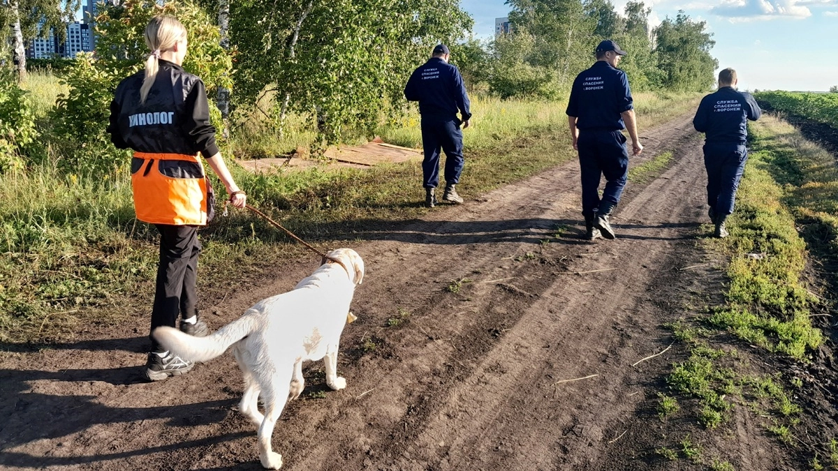В воронежском Шилове свернули поиски пропавшей трехлетней девочки
