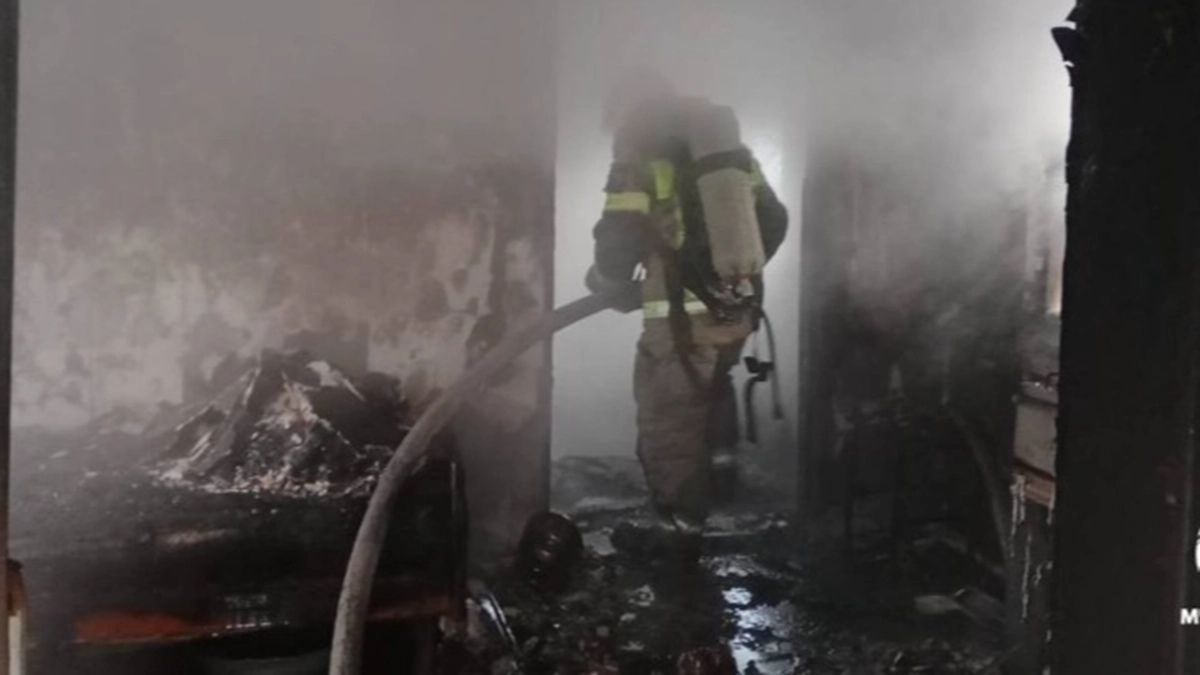 На пожаре под Воронежем обнаружили тело пенсионерки