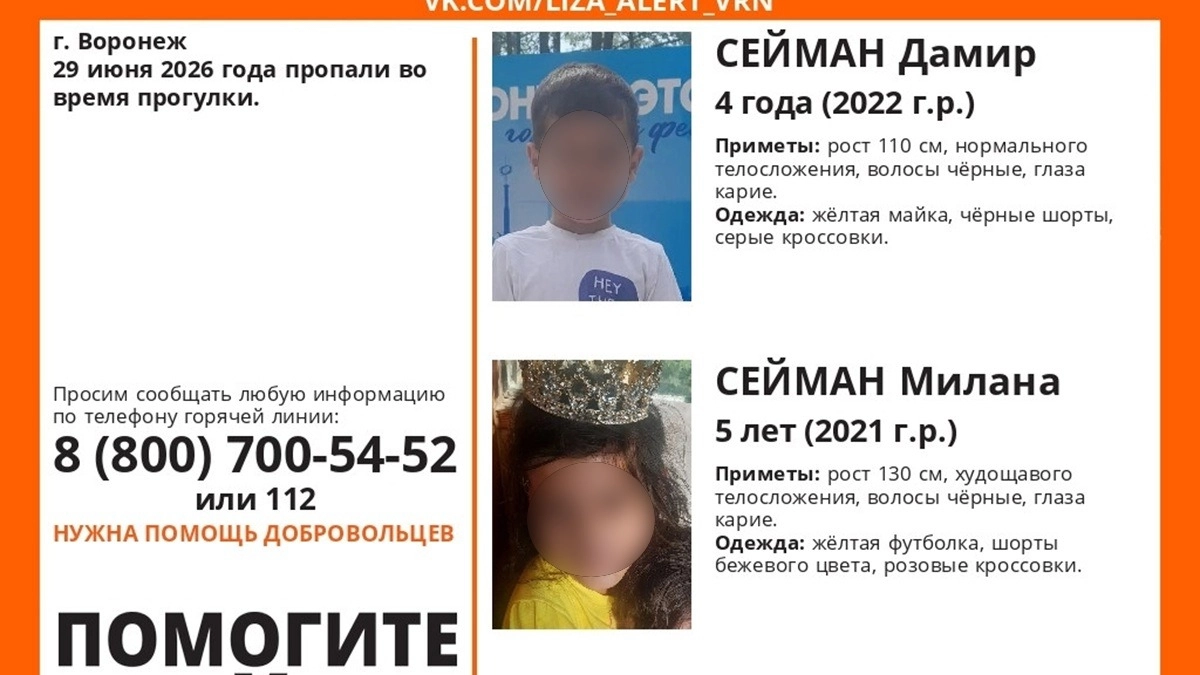 Поиски пропавших без маленьких брата с сестрой свернули в Воронеже