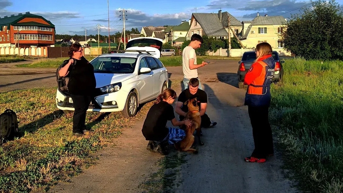 Воронежские волонтеры нашли пропавшего без связи и воды грибника