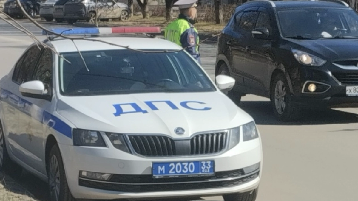 Положите этот бланк в машину, но не из-за штрафа: водителей снова пугают проверками