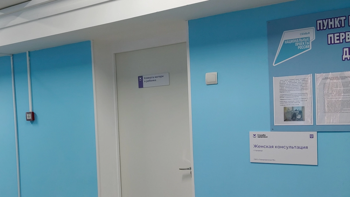 В Нововоронеже прокуратура проверяет обстоятельства гибели матери и младенца