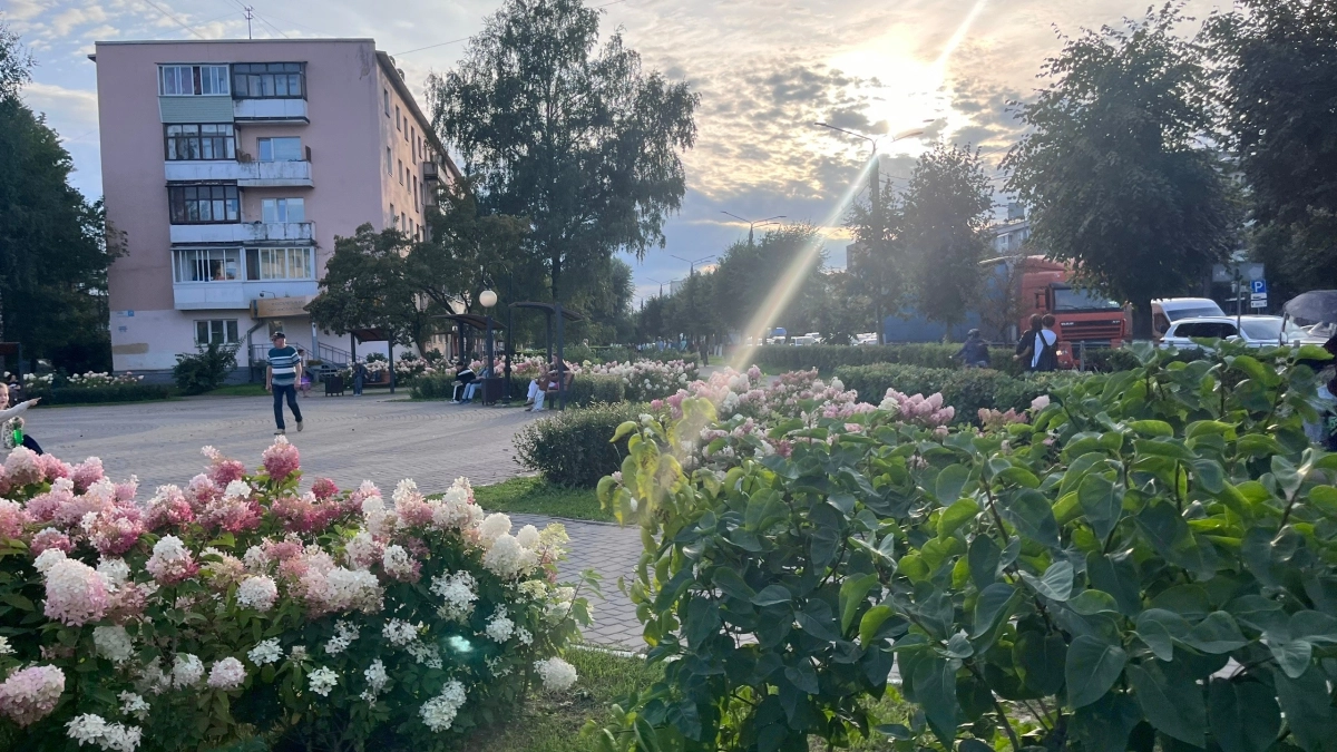 Эта неделя изменит всё: кому из знаков Зодиака улыбнется удача с 27 августа по 2 сентября