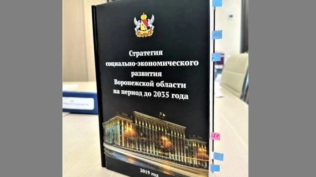В Стратегию развития Воронежской области до 2035 года включат блок об ИИ