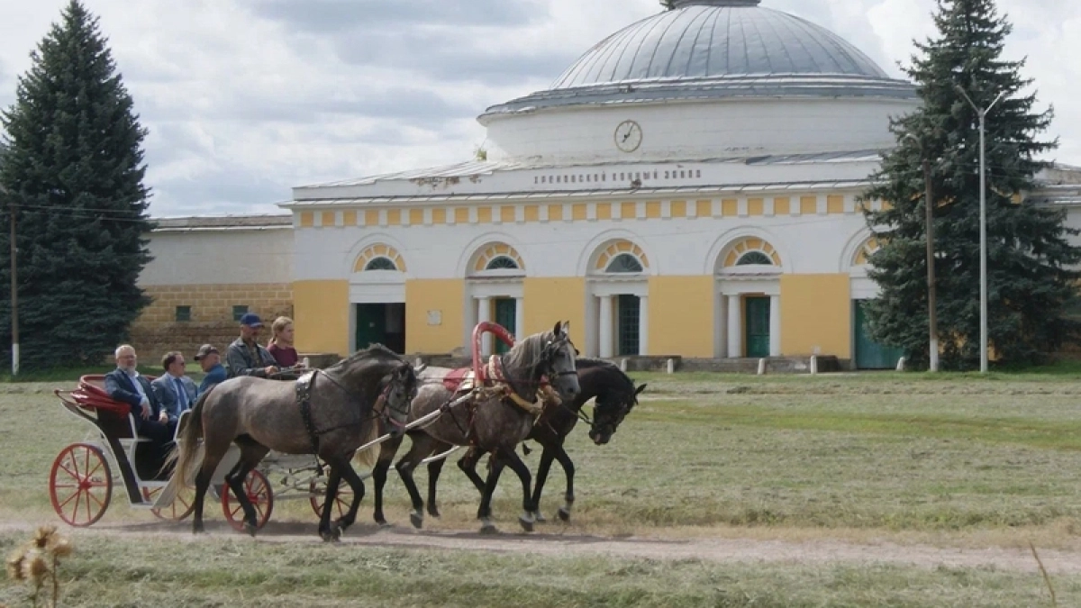 Хреновской конный завод готовится к 250-летнему юбилею