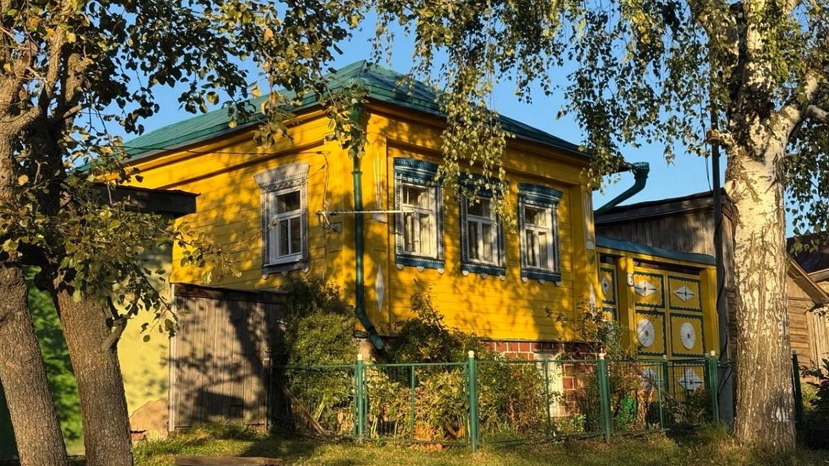 Беру чайный пакетик и окунаю в раствор — грызуны вмиг исчезли: мыши обходят дом за километр