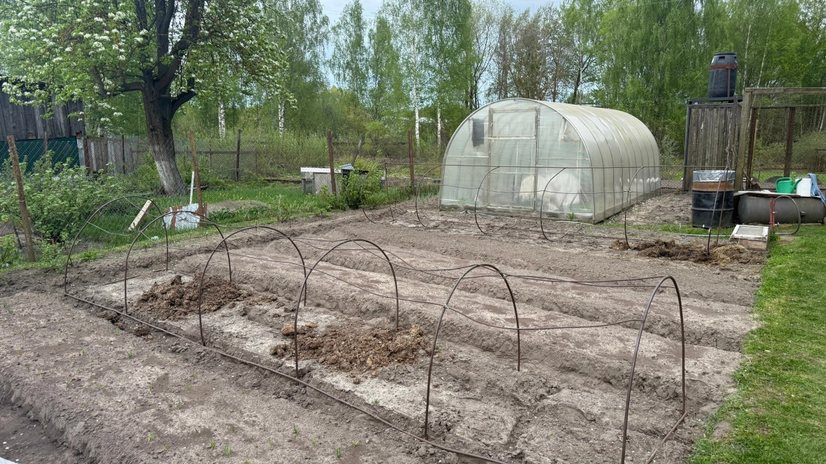 В сентябре готовлю компост к зиме: беру 100 г дрожжей и 5 ложек сахара — весной не нарадуюсь итогу