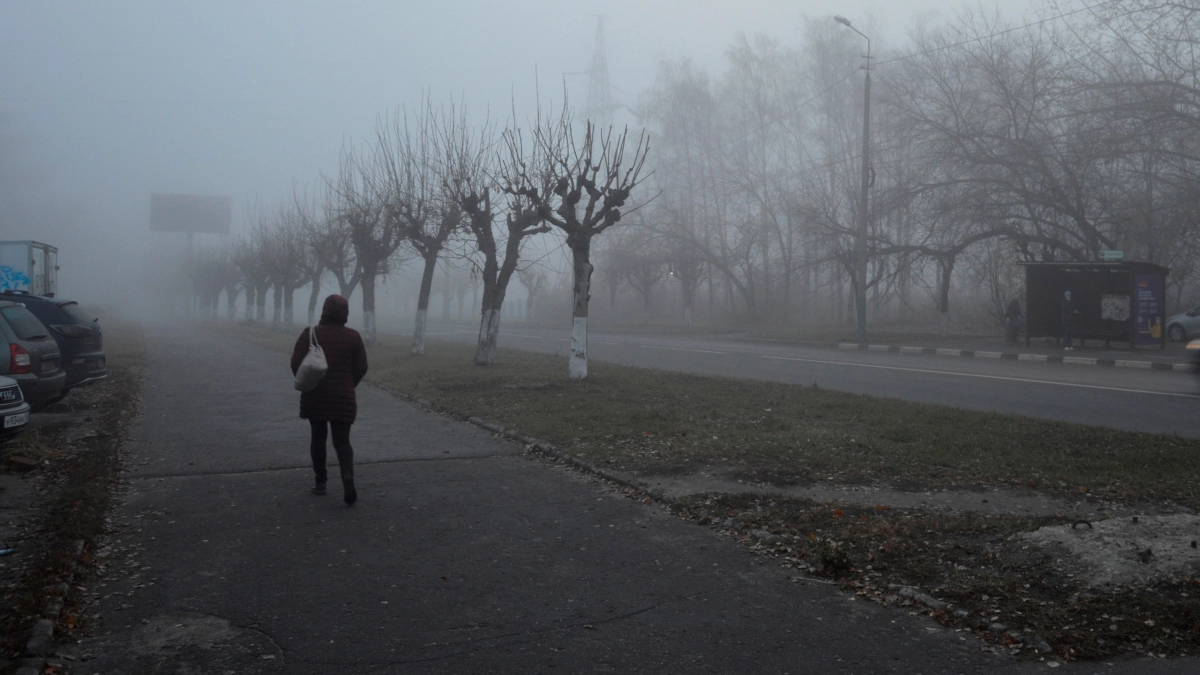 Воронеж встретит первые заморозки в ночь на пятницу