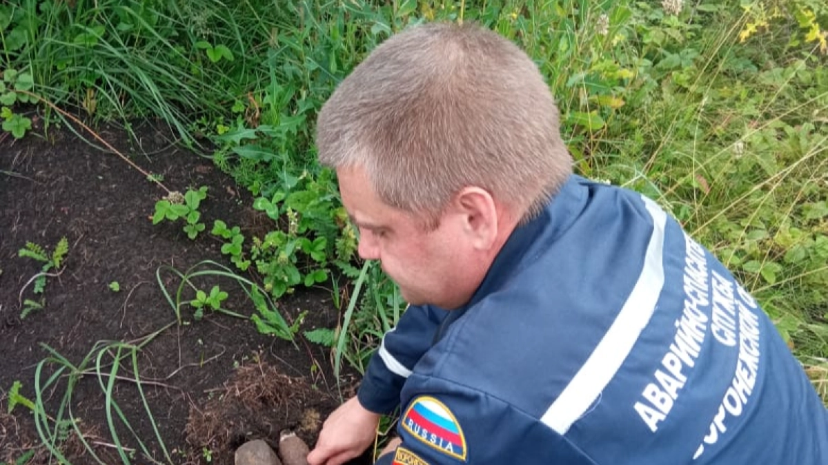 В Воронежской области уничтожили миномётную мину времён ВОВ
