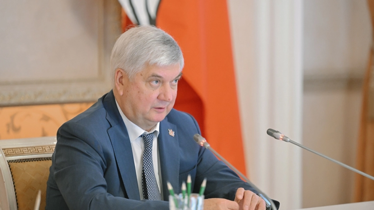 В Воронежской области обсудили работу с инвесторами и учёт вложений