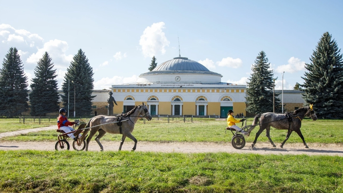 В Бобровском районе отпраздновали 250-летие Хреновского конного завода