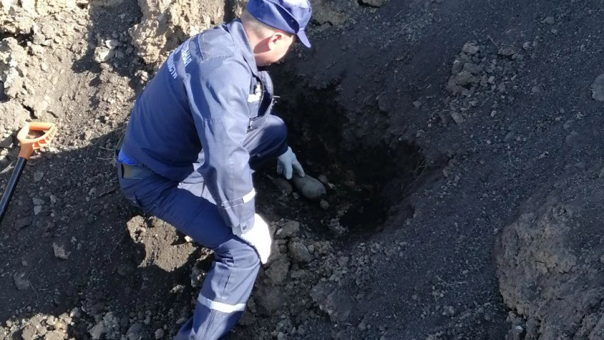 В Воронежской области уничтожили 14 боеприпасов времен войны
