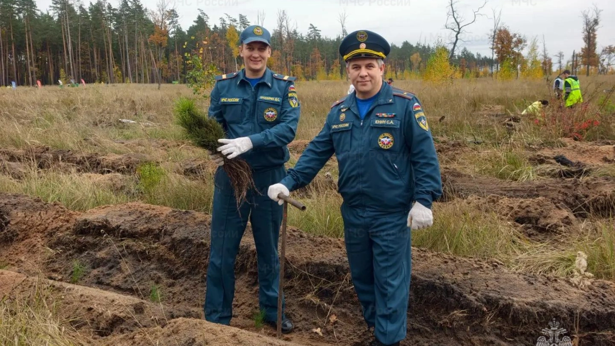 В Воронеже спасатели высадили деревья на Кожевенном кордоне