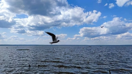 5 новых курортов России рядом с Москвой: где отдохнем через пару лет