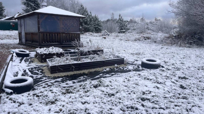 Снег ожидается в Воронежской области после 17-градусного тепла