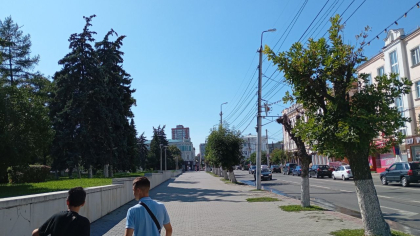 Жара довела воронежца до крайности: мужчина разгуливал голым по улицам