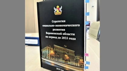В Стратегию развития Воронежской области до 2035 года включат блок об ИИ